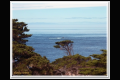 Impressionen 2 Monterey - Pismo Beach (7).jpg
